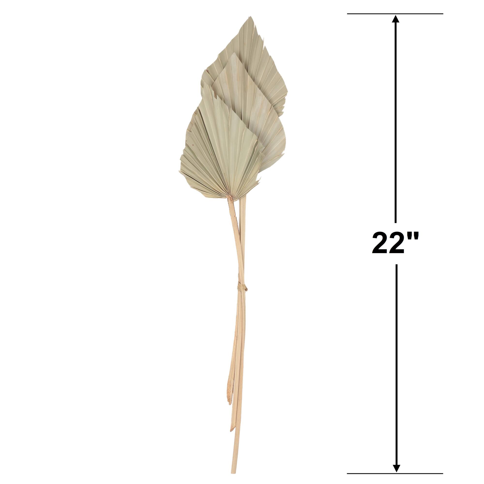 22" Natural Palm Spear Bunch by Ashland®